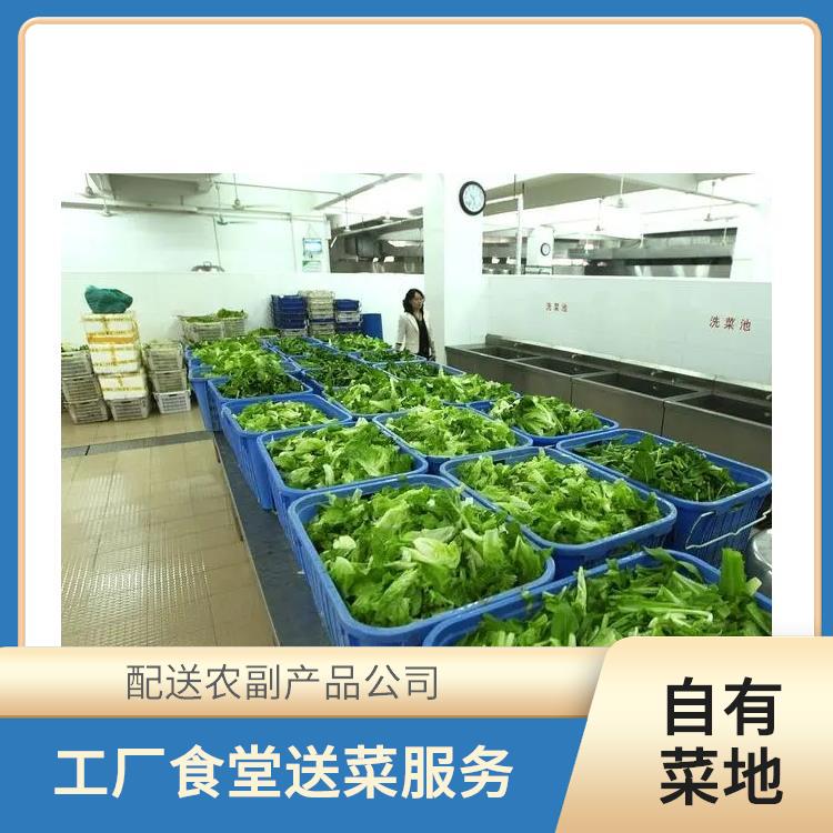 东莞蔬菜配送服务 新鲜直达，健康每餐