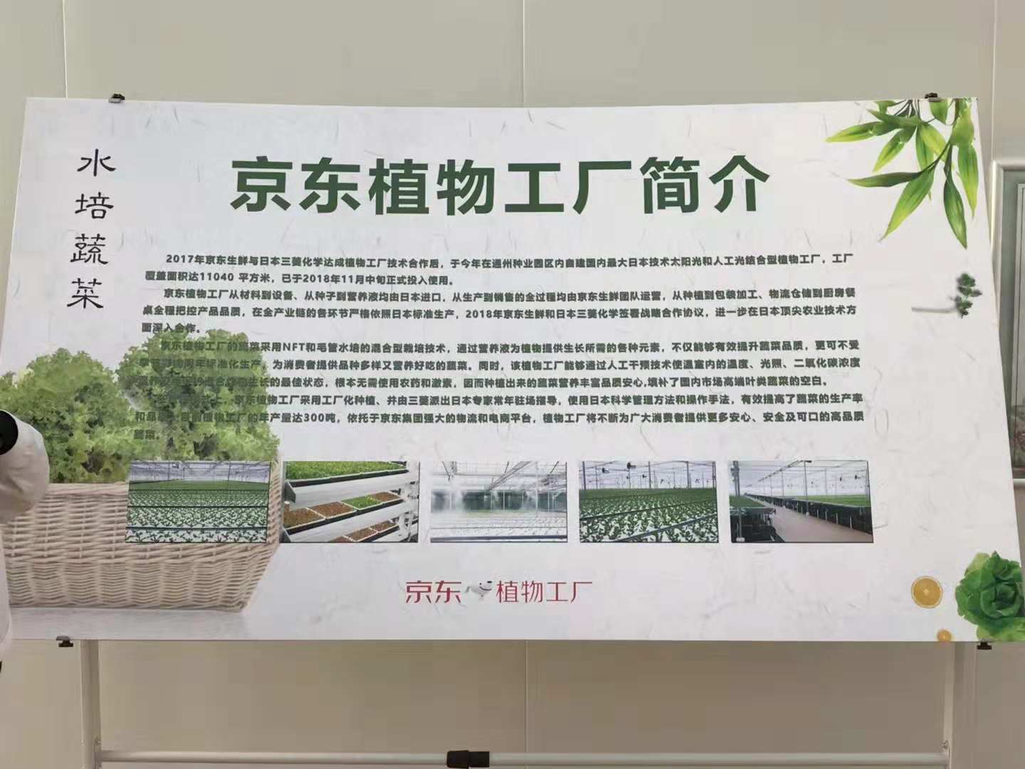 生而领鲜 京东植物工厂亮相通州，助力京东生鲜、7FRESH蔬菜
