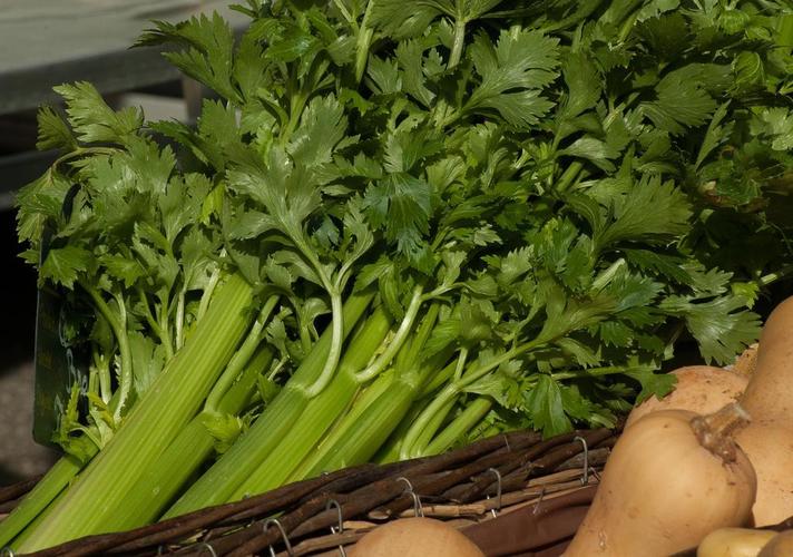 蔬菜 芹菜 萝卜 绿色