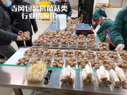 叮咚买菜分拣员